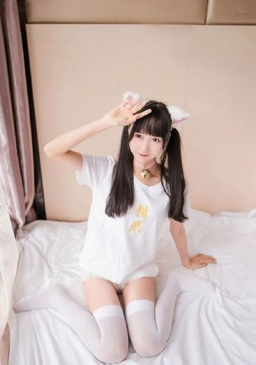 细狗网页端登录入口免费版_剧情片免费观看韩国