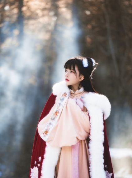 婚姻背后20集电视连续剧免费观看_BD在线观看完整版